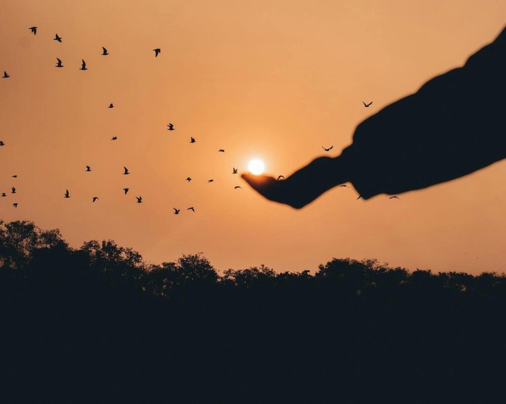 pexels-pramodtiwari-13602929